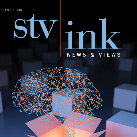 stv article